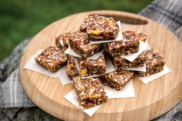Spiced Date Nut Energy Squares